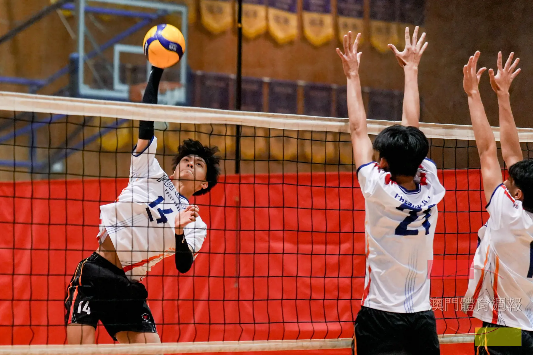 副1 魏子諾將為培正男排全力搶攻.jpg